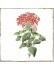 Płytka Fabresa Forli Flowers Decor Mix 20x20